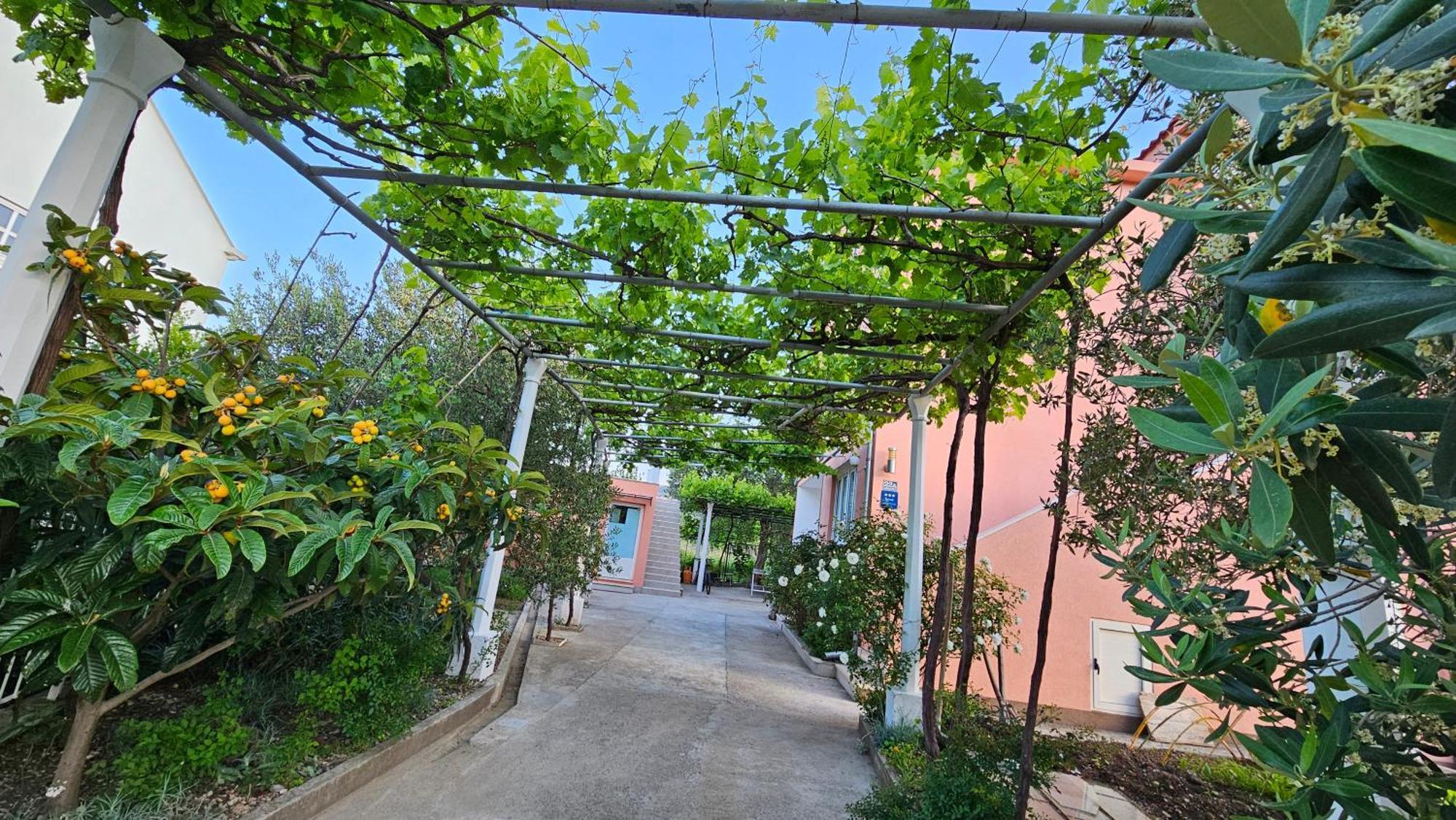 Apartment Lanka Mlini Exterior photo